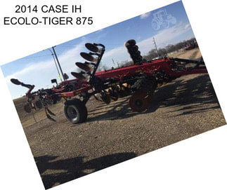 2014 CASE IH ECOLO-TIGER 875