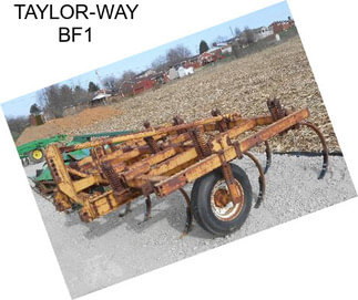 TAYLOR-WAY BF1