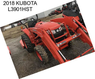 2018 KUBOTA L3901HST