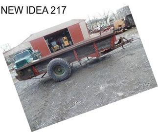 NEW IDEA 217