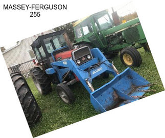 MASSEY-FERGUSON 255