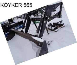 KOYKER 565