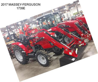 2017 MASSEY-FERGUSON 1739E