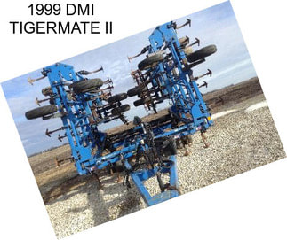 1999 DMI TIGERMATE II