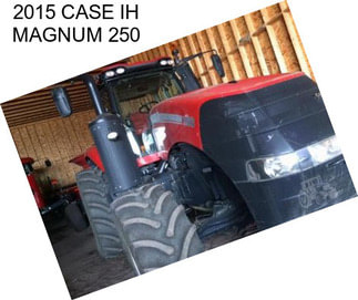 2015 CASE IH MAGNUM 250