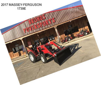 2017 MASSEY-FERGUSON 1739E