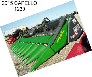 2015 CAPELLO 1230