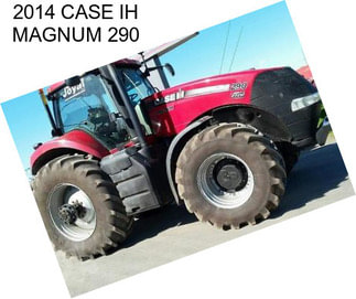 2014 CASE IH MAGNUM 290