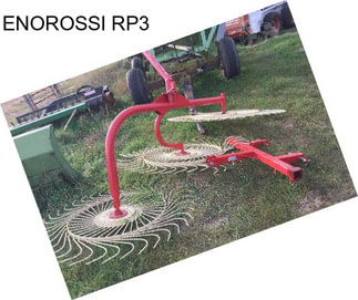 ENOROSSI RP3