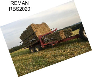 REMAN RBS2020