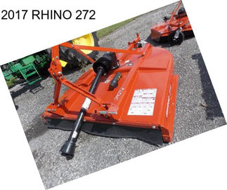 2017 RHINO 272