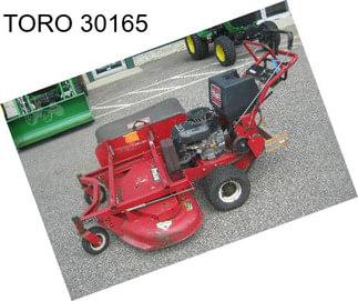 TORO 30165