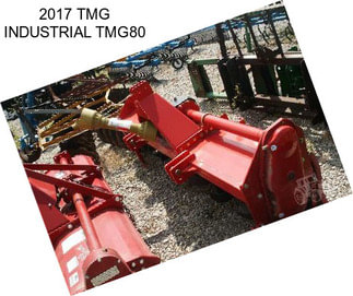2017 TMG INDUSTRIAL TMG80