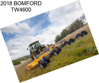 2018 BOMFORD TW4600