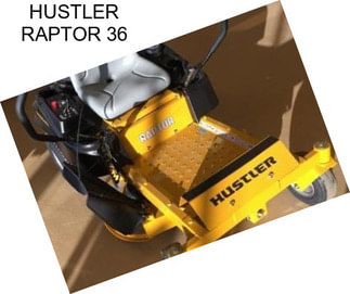 HUSTLER RAPTOR 36