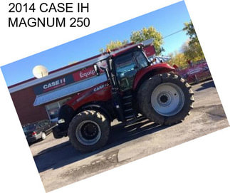 2014 CASE IH MAGNUM 250