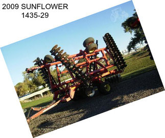 2009 SUNFLOWER 1435-29