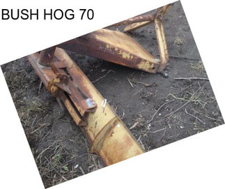BUSH HOG 70