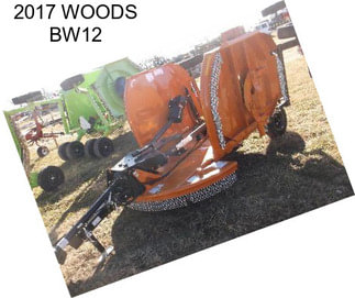 2017 WOODS BW12