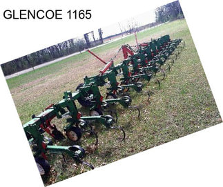 GLENCOE 1165