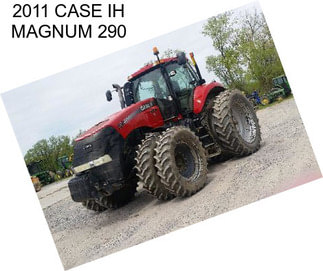 2011 CASE IH MAGNUM 290