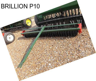 BRILLION P10