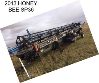 2013 HONEY BEE SP36