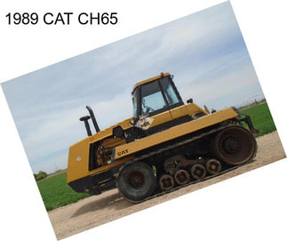 1989 CAT CH65