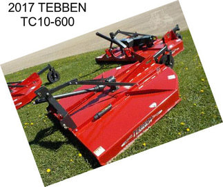 2017 TEBBEN TC10-600