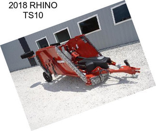 2018 RHINO TS10