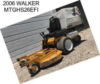 2006 WALKER MTGHS26EFI