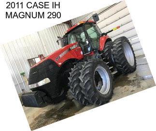 2011 CASE IH MAGNUM 290