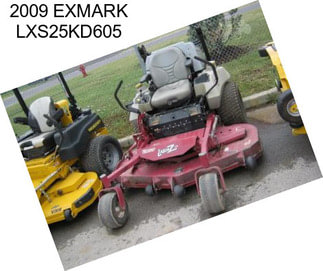 2009 EXMARK LXS25KD605