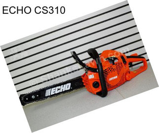 ECHO CS310