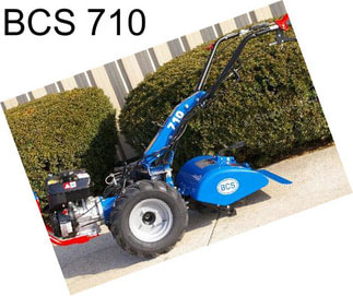 BCS 710