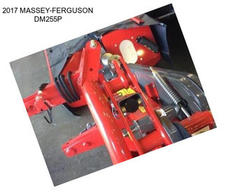 2017 MASSEY-FERGUSON DM255P
