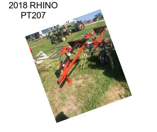 2018 RHINO PT207