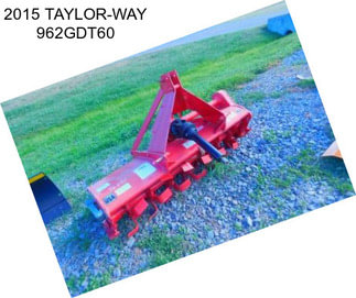 2015 TAYLOR-WAY 962GDT60