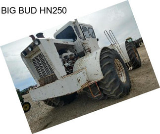 BIG BUD HN250