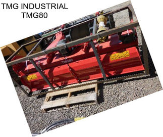 TMG INDUSTRIAL TMG80