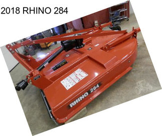 2018 RHINO 284