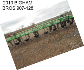2013 BIGHAM BROS 907-128