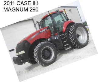 2011 CASE IH MAGNUM 290