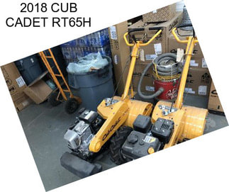 2018 CUB CADET RT65H