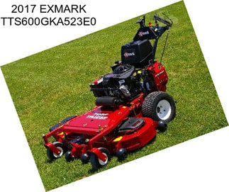 2017 EXMARK TTS600GKA523E0