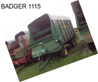 BADGER 1115