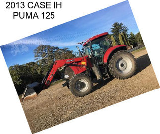 2013 CASE IH PUMA 125