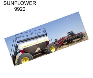 SUNFLOWER 9920