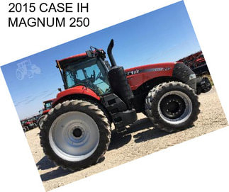 2015 CASE IH MAGNUM 250