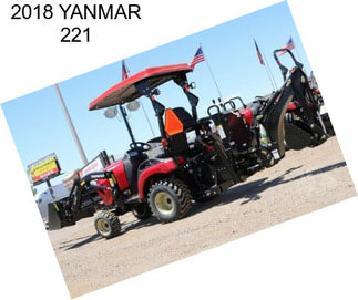 2018 YANMAR 221